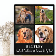 Pet Perte Cadeau Chien Memorial Custom 4 Photo Col
