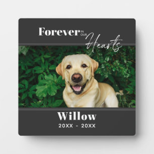 Plaque Photo Pet Photo Custom Memorial Keepsake 