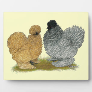 Plaque Photo Petits poulets