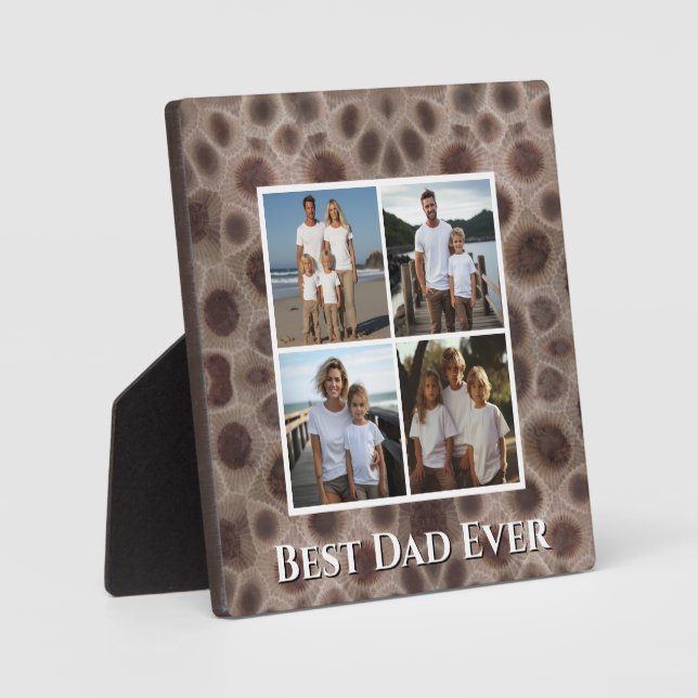 Plaque Photo Petoskey Stone Michigan pierre d'état meilleur pap (Recto)