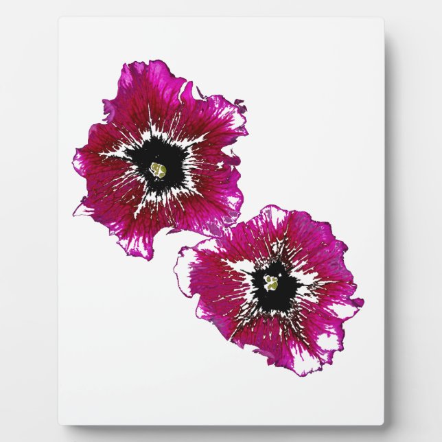 Plaque Photo Petunias d'été (Devant)