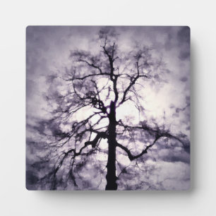 Plaque photo Phantastes