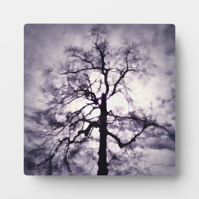 Plaque photo Phantastes (Devant)