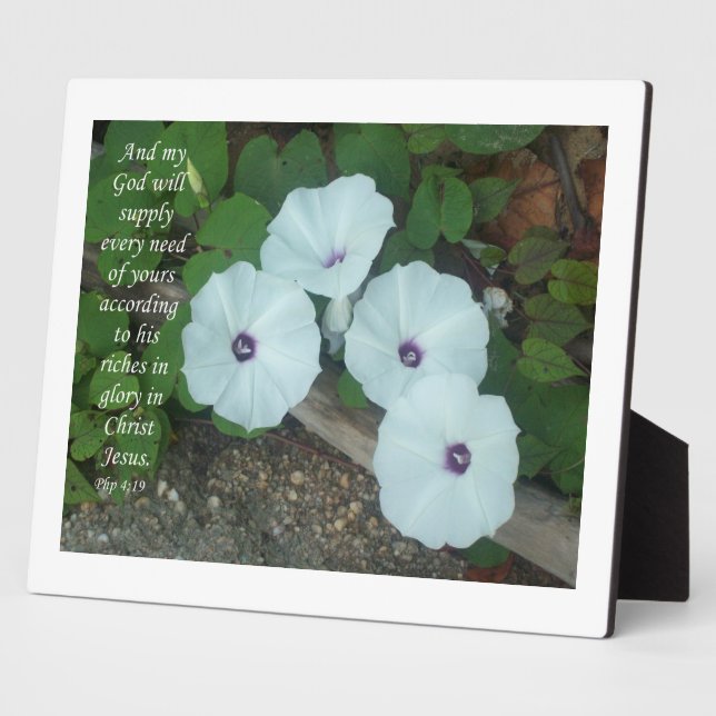 Plaque Photo Philippiens 4:19 (Côté)