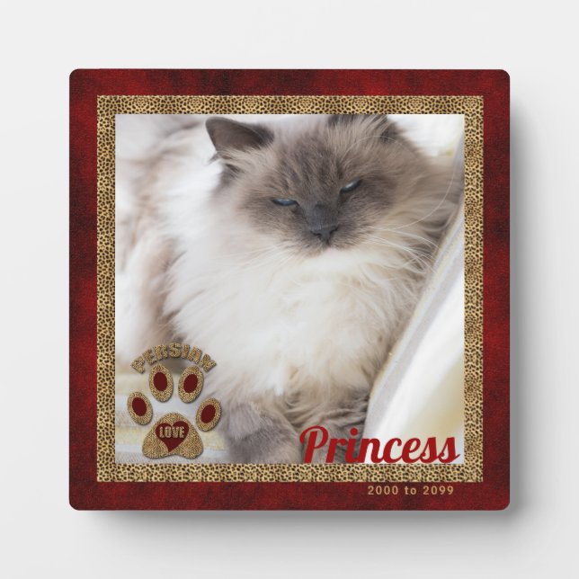 Plaque Photo Photo commémorative du chat persan (Devant)