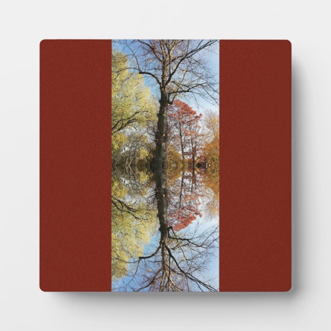 Plaque Photo Photo d'arbre mise en miroir (Devant)