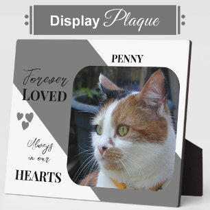 Plaque Photo Photo de chat Sympathy Keepsaké Pet Memorial gris