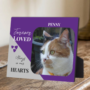 Plaque Photo Photo de chat Sympathy Keepsaké Pet Memorial viole
