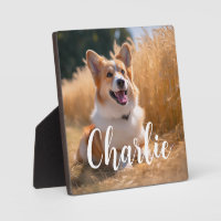 Photo de compagnie personnalisée