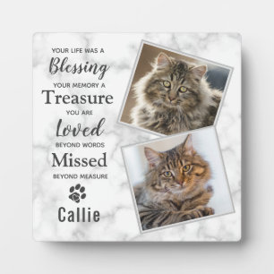 Plaque Photo Photo de memorial de chat domestique