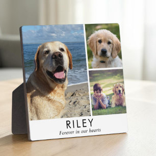 Plaque Photo Photo de memorial de chien minimaliste personnalis