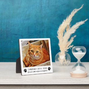 Plaque Photo Photo de souvenir de chat avec empreintes de patte