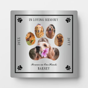 Plaque Photo Photo de souvenir pour animal de compagnie - Ton a