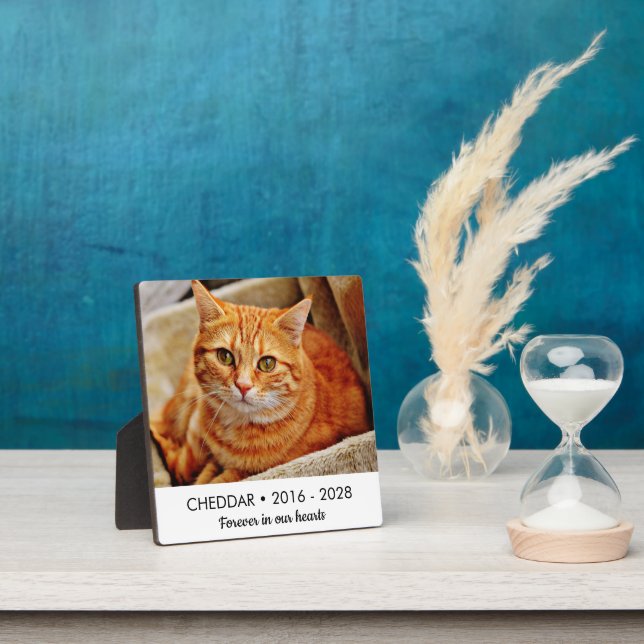 Plaque Photo Photo Mémorial de Chat À Jamais Dans Nos Cœurs (Insitu)