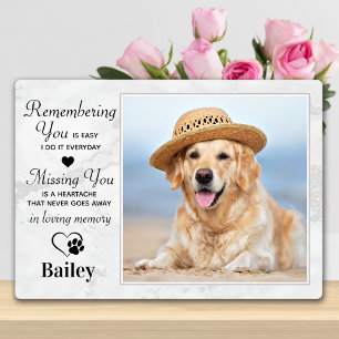 Plaque Photo Photo Personnalisée Moderne Pet Perdre Sympathie C