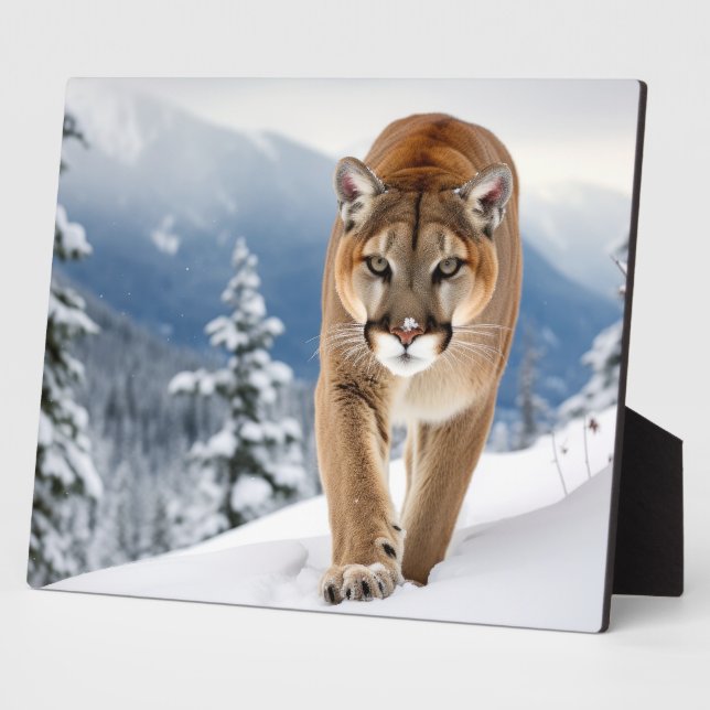 Plaque Photo Photo Plaque-Mountain Lion (Côté)