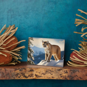 Plaque Photo Photo Plaque-Mountain Lion