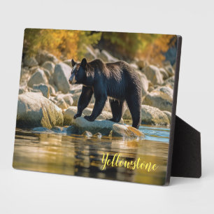Plaque Photo Photo Plaque-Yellowstone Ours noir