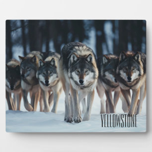 Plaque Photo Photo Plaque-Yellowstone Wolves