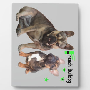 Plaque Photo Photoréserve de Bulldogen