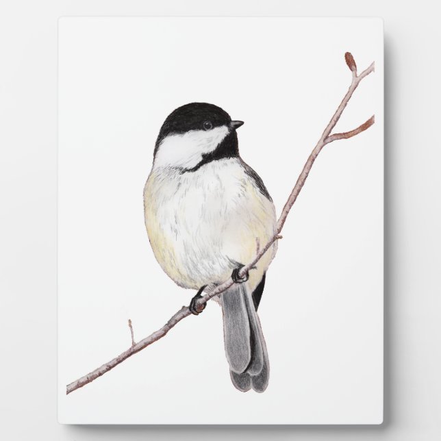 Plaque Photo Pickadee (Devant)