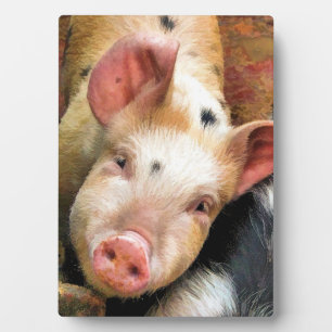 PLAQUE PHOTO PIG