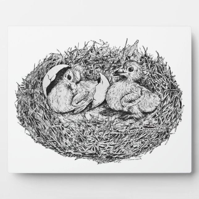 Plaque Photo Pigeon Nest Babies (Devant)