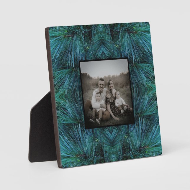 Plaque Photo Pin rustique pin pinède vert à feuillage persistan (Recto)