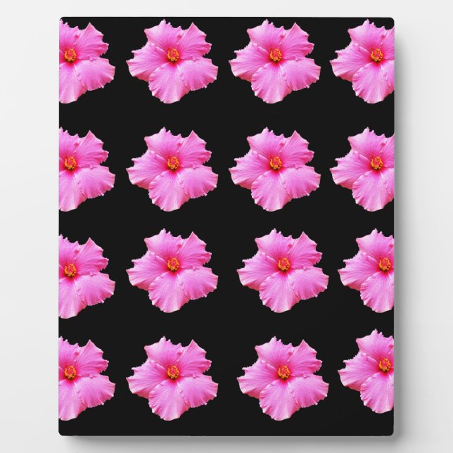 Plaque Photo Pink Hibiscus Flowers On Black,_ (Devant)