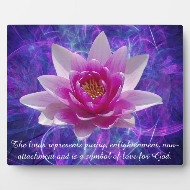Plaque Photo Pink lotus flower and meaning (Devant)