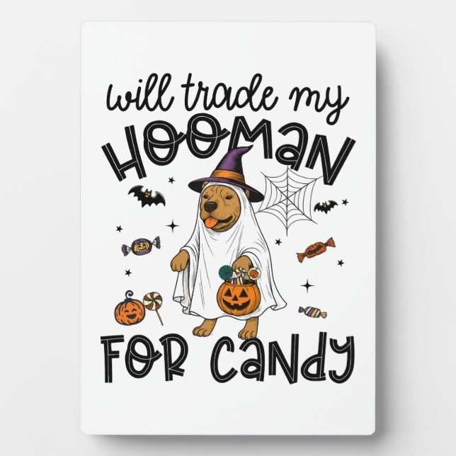 Plaque Photo Pitpull Dog Halloween Ghost Spooky (Devant)