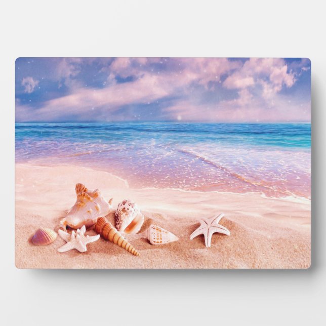 Plaque Photo Plage des coquillages (Devant)