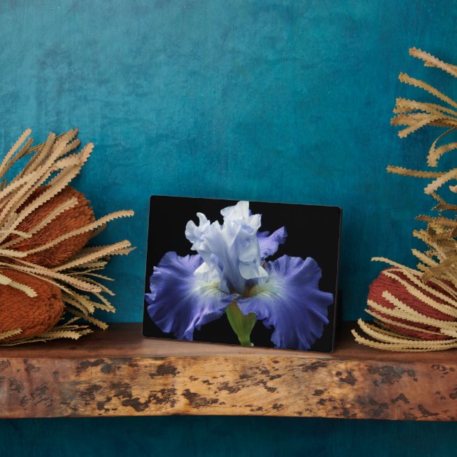 Plaque Photo Plaque-Iris Art Décor (Côté)