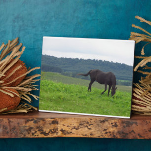 Plaque Photo Plate-forme de prairie d'amour