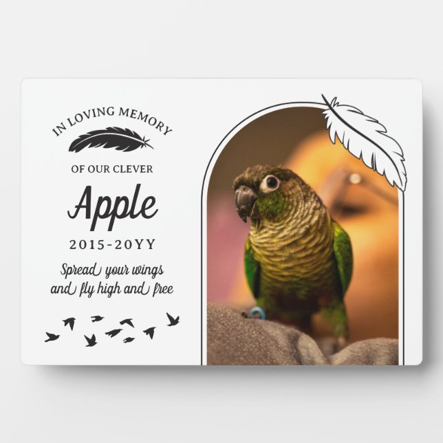 Plaque Photo Plumes blanches noires En souvenir affectueux Oise (Devant)