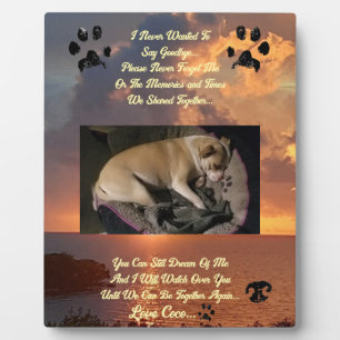 Plaque Photo Plus de pensées d'un animal de compagnie aimé