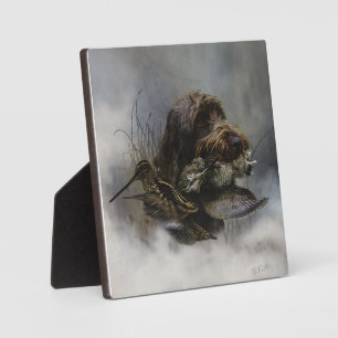 Plaque Photo Pointeur à poils durs Griffon, Chasse à la bécasse