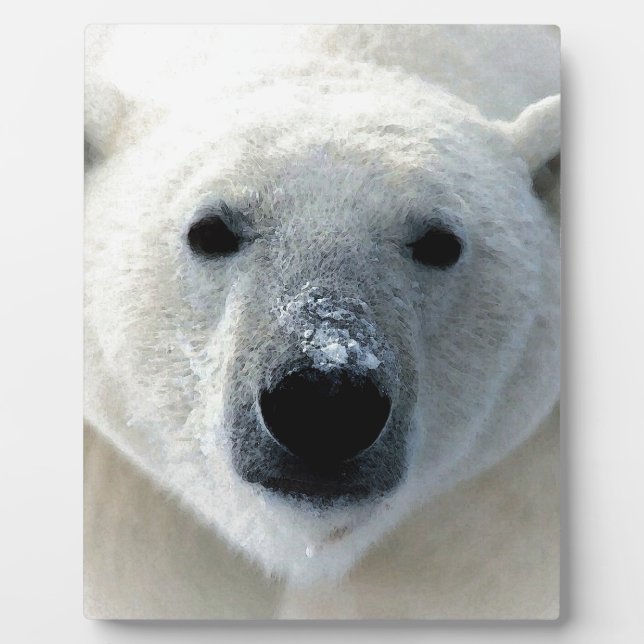 Plaque Photo Polar Bear (Devant)