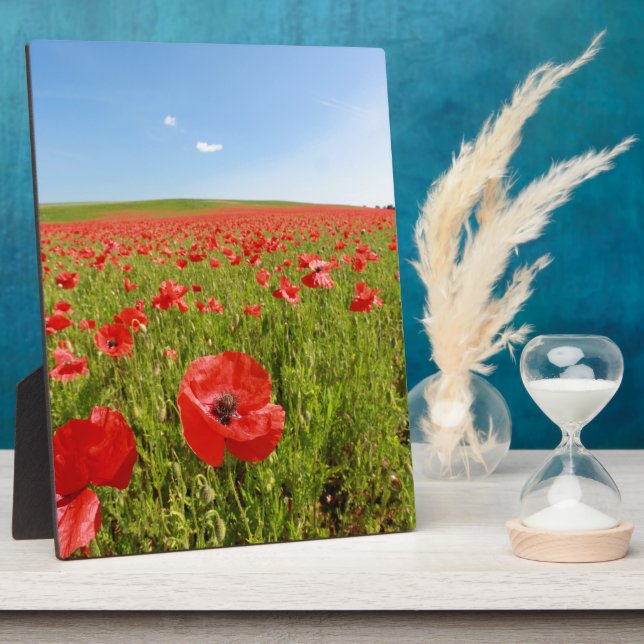 Plaque Photo Poppy field - Stunning! (Côté)