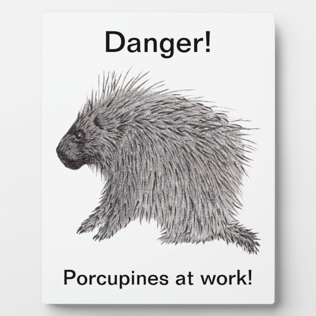 Plaque Photo Porcupine (Devant)
