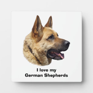 Plaque Photo Portrait de chien berger allemand alsacien