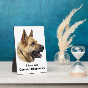 Plaque Photo Portrait de chien berger allemand alsacien