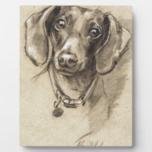 Plaque Photo Portrait de Dachshund