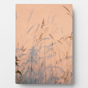 Plaque Photo Poster Acrylique Carte Postale Grasses Et Ombres D