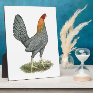Plaque Photo Poule de Combat Bleu Rouge