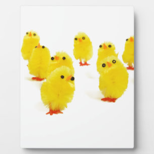 Plaque Photo poules mignonnes