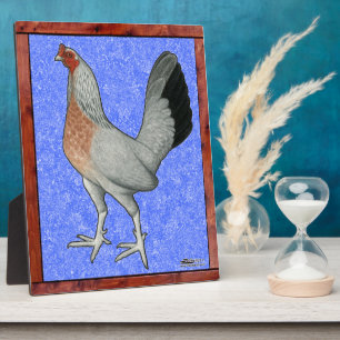 Plaque Photo Poulet de jeu encadré