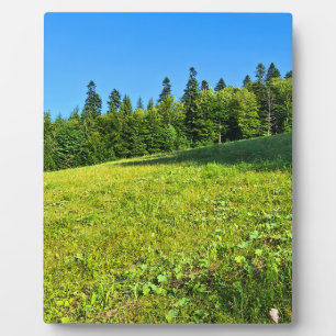 Plaque Photo Prairie verte des Carpates – Impression de montagn
