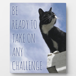Plaque Photo Prenez n'importe quel chat de motivation Challenge