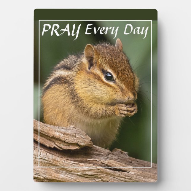 Plaque Photo Priez chaque jour Chipmunk (Devant)